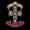 Guns and Roses - Appetite for Destruction